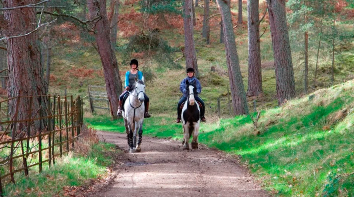 The 7 Criteria Overview